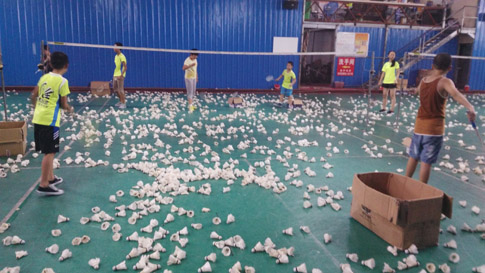 ��СѧУ�＾�����ƻ���ë����ѵ����ͼƬ��2516