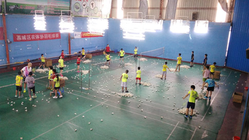 ��СѧУ�＾�����ƻ��е���ë����ѵ����ͼƬ9