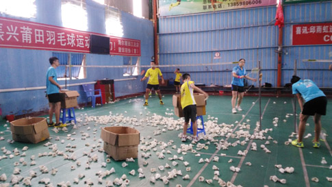 ����Сѧ�＾���������ƻ���ë����ѵ����ѵ����ͼƬ510