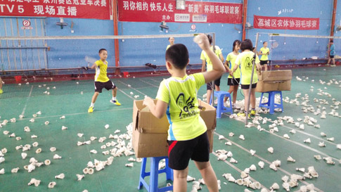 2015����ʡ��Сѧ����ë���������������ë����ѵ���ؼӽ���ë��ѵ��ͼƬ518