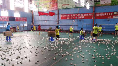 2015����ʡ��Сѧ����ë���������������ë����ѵ���ؼӽ���ë��ѵ��ͼƬ21