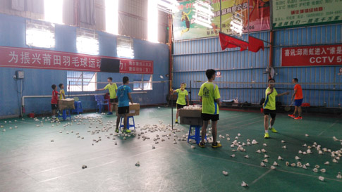 ��Сѧ����������ѵ����ë����ѵ13