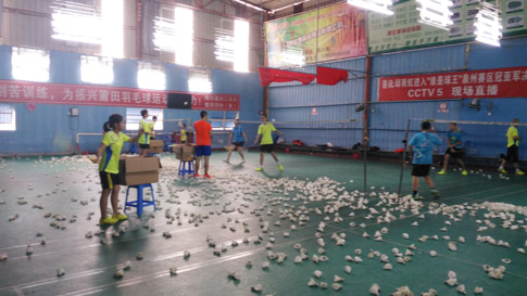 ��Сѧ����������ѵ����ë����ѵ20150827