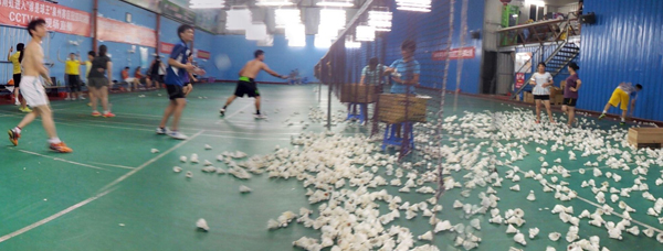 �����������ë����ѵ