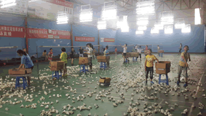 ��ë����ѵͼƬ