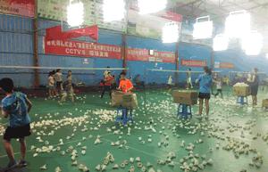 ��ë�����ѵ��ͼƬ