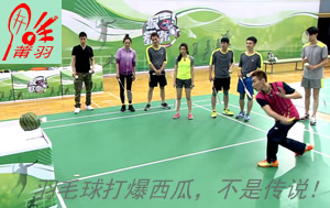 ��ë�������