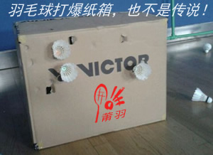 ��ë�����ֽ�������