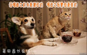 喝醉的莆田人